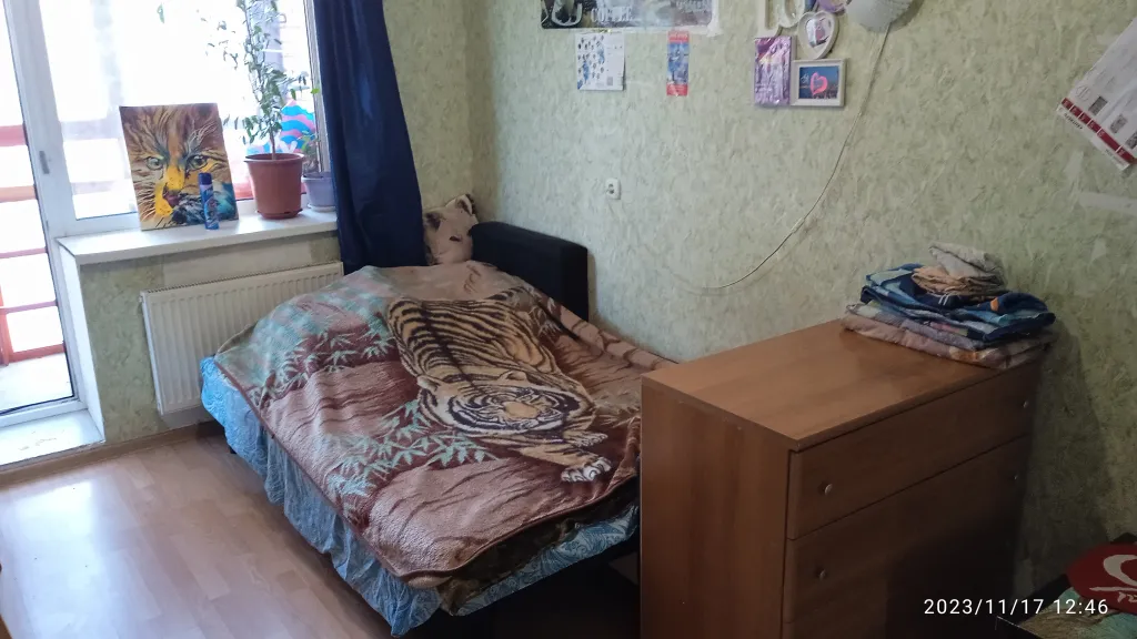 Комната в квартире, с хозяевами