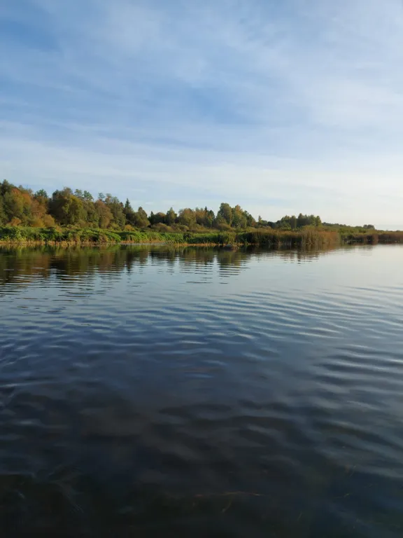 Домик на природе