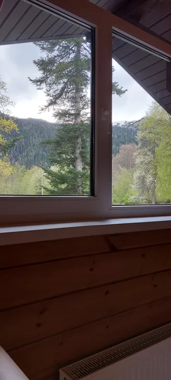 Семейное шале с видом на горы