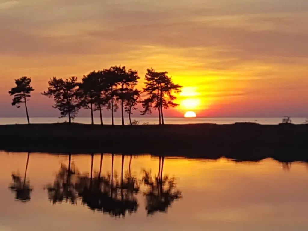 Квартира возле леса и залива