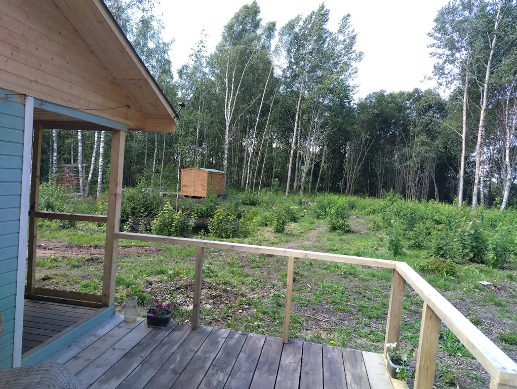 Коттедж Гостевой дом у пруда — Луга