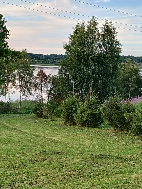 Уютный домик на берегу озера