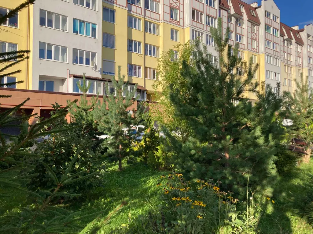 Квартира Уютная квартира на берегу Балтийского моря — Светлогорск