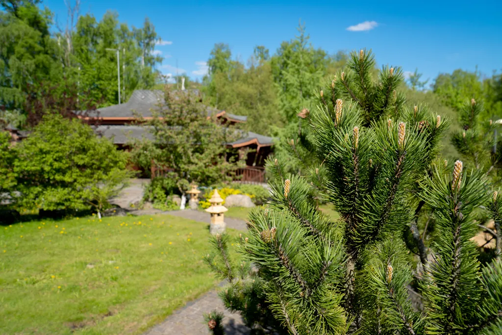 Коттедж Дом на пруду с дровяной сауной и караоке в китайском стиле — Высоково