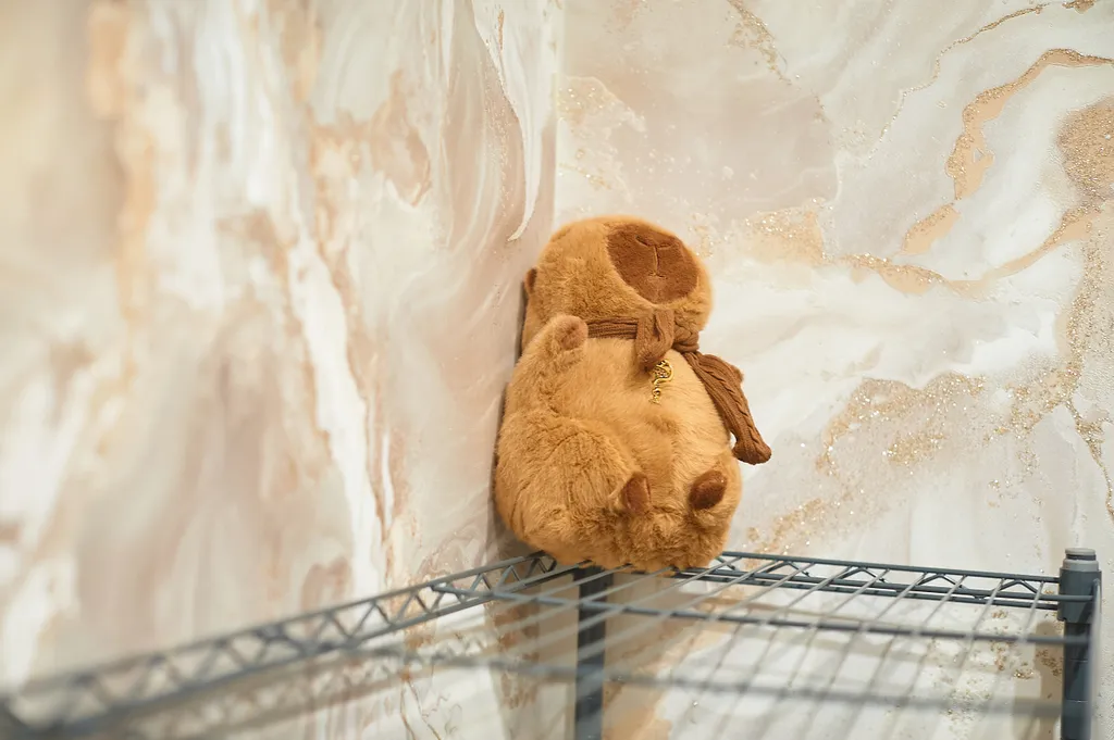 Capybara's style: центр, парящая кровать, тв-алиса, качель