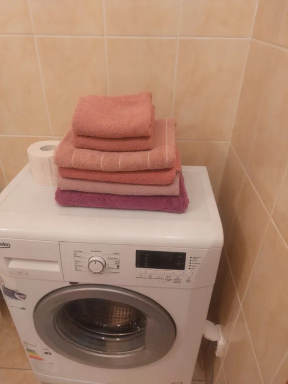 Квартира у аквапарка и Ледового дворца