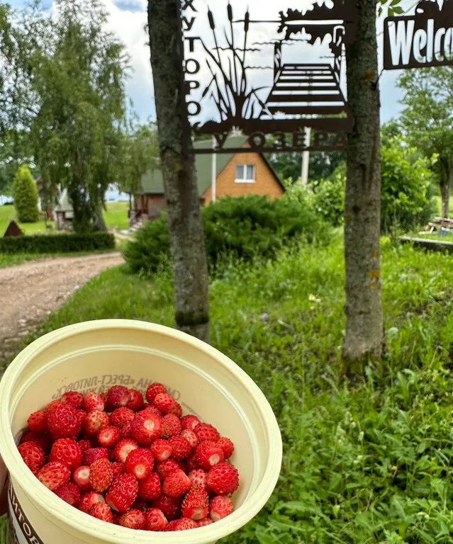 В большом доме 1/2 часть первого этажа
