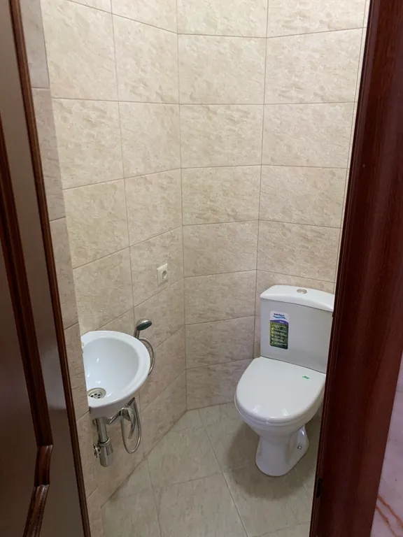 Дом в окружении леса