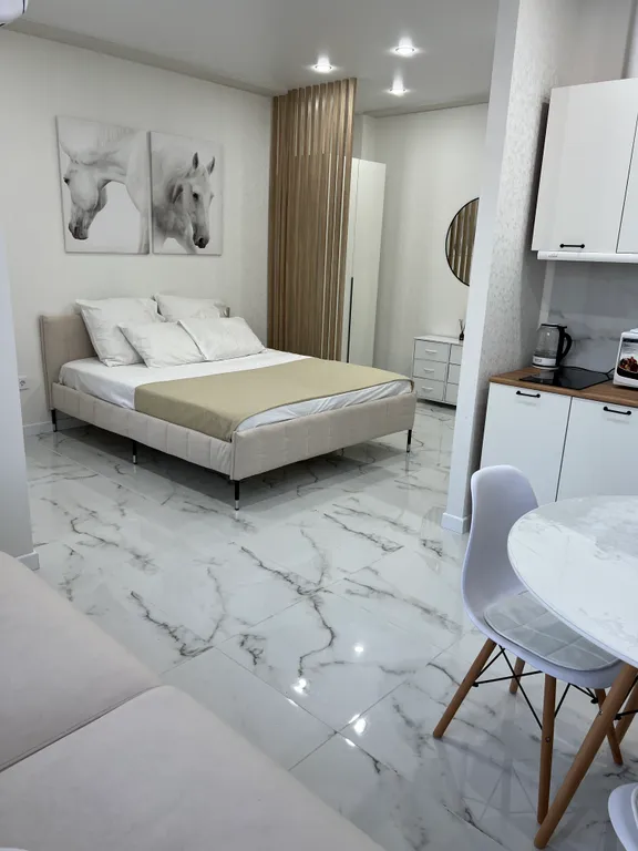 Квартира Квартира Уютная студия с балконом — Сириус