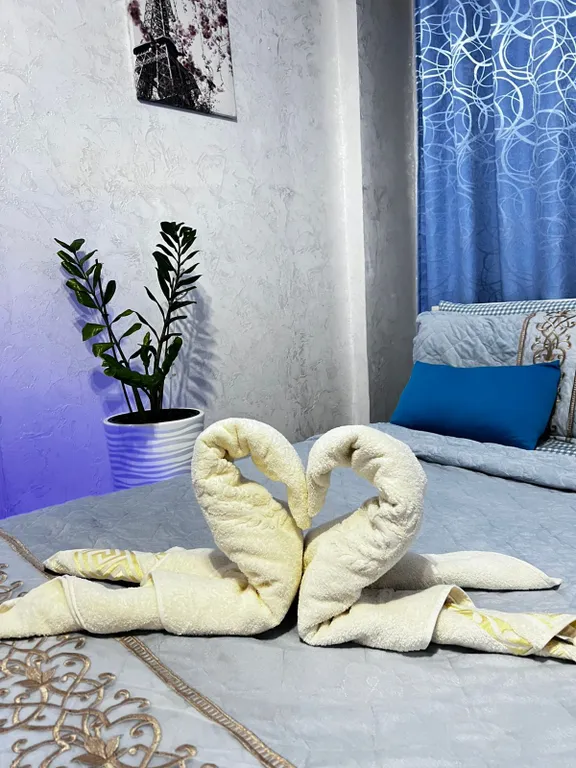 1-комнатная студия в центре города Алматы в ЖК Шолпан сити