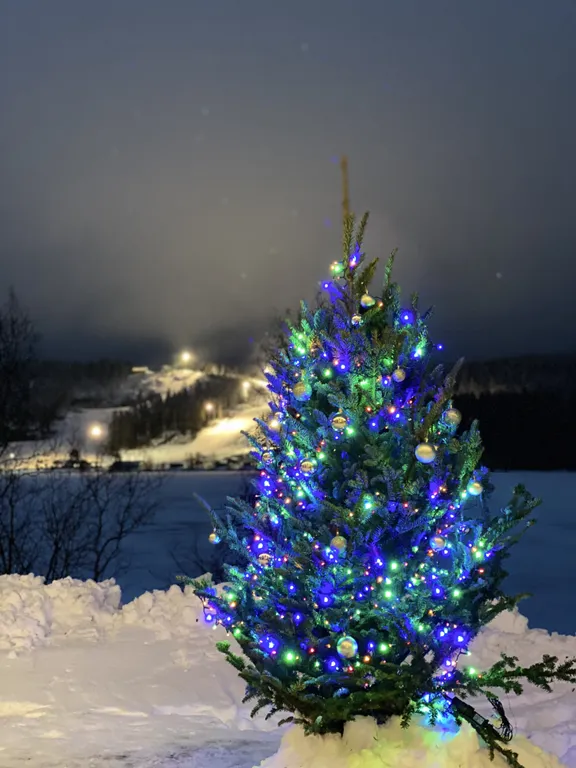 Отдых на берегу озера с видом на горнолыжный курорт и сауной в доме