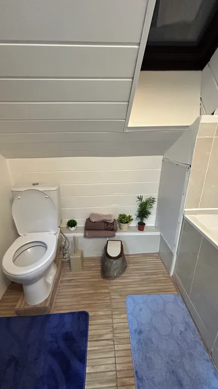 Двухкомнатная мансарда в центре Нижнего