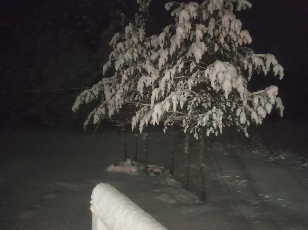 Коттедж Новый гостевой дом семь сосен на опушке леса — Плодовое