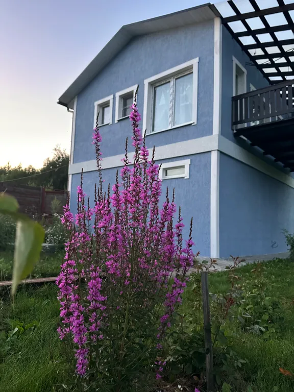 Гостевой дом в заповедной зоне Поленово