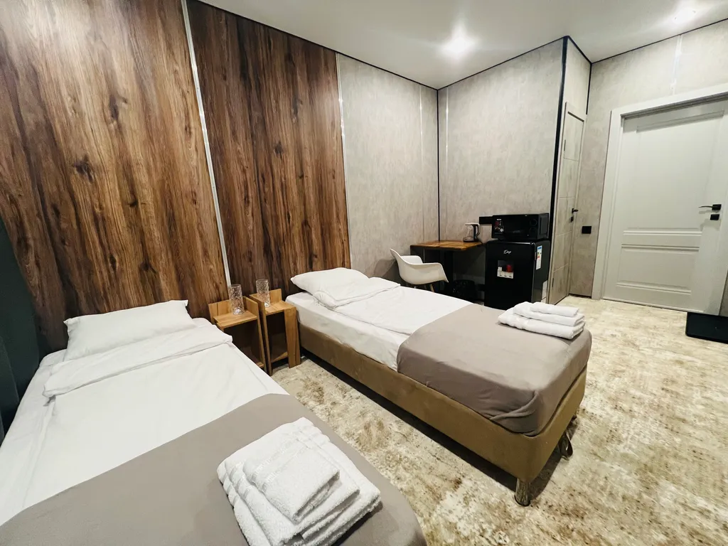 Двухместная студия с видом на горы и двумя отдельными кроватями.