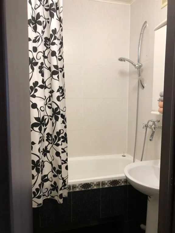 Просторная квартира на Шуменской