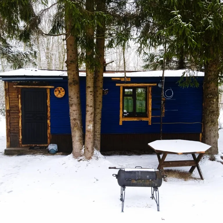 Коттедж 2-комнатный Дом — Луга