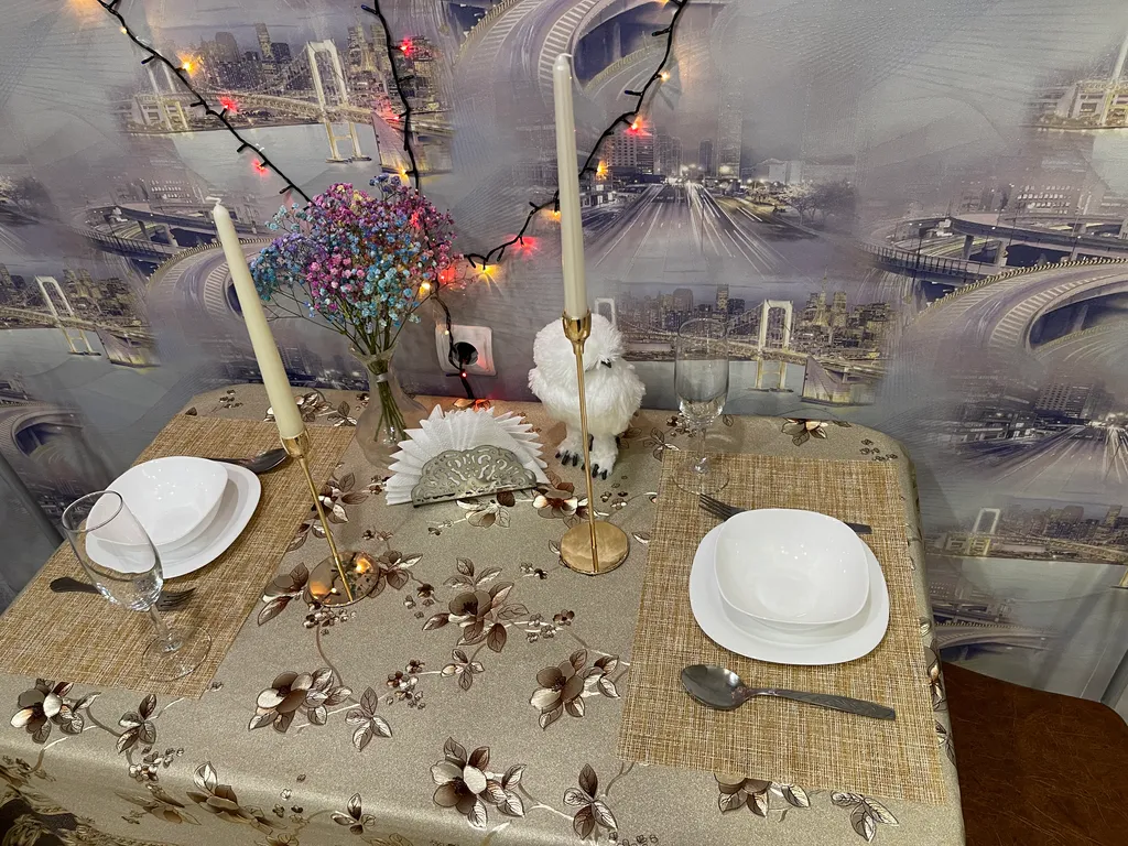 Уютная евро двухкомнатная квартира в центре города