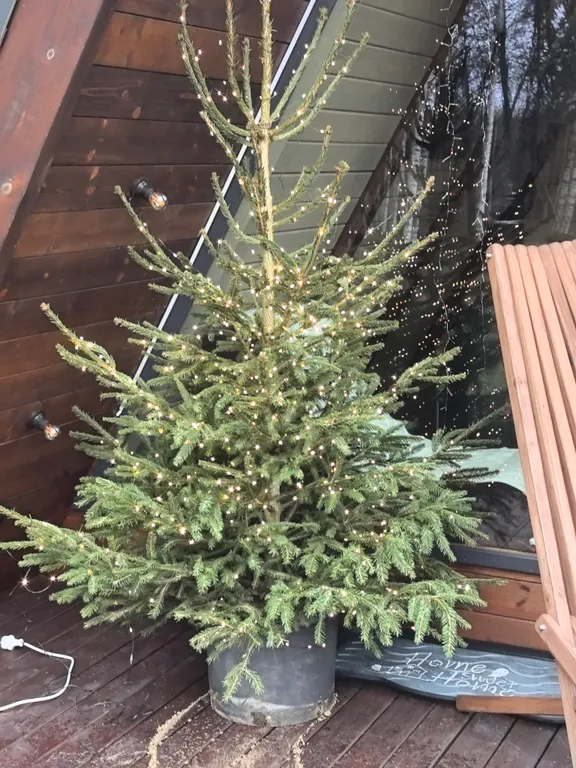 Дом шалаш Звезда над Неманом