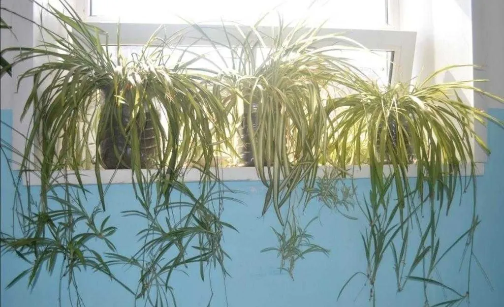 Романтичная однушка с камином на Волжской набережной