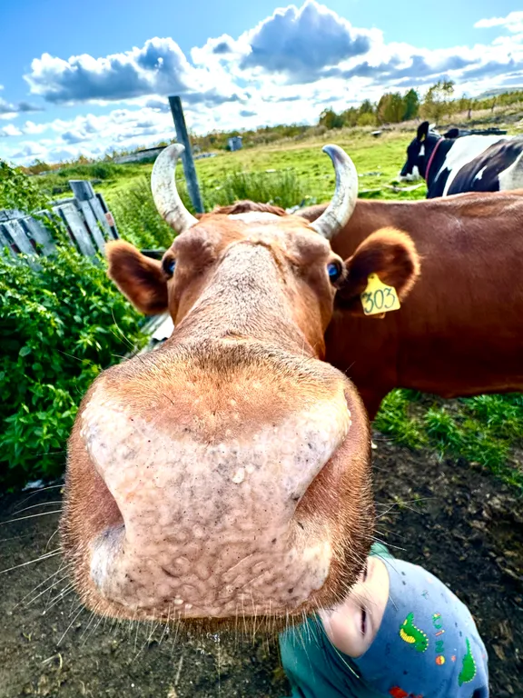 Уютный двухэтажный дом в окружении природы