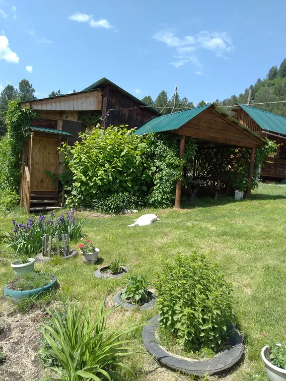 Коттедж 1-комнатный Дом — аренда посуточно в Артыбаш