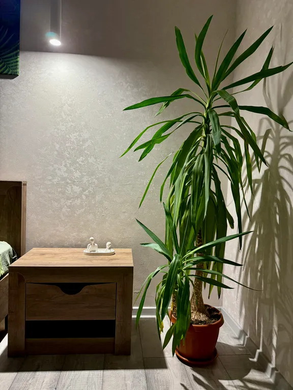 Современная природная гармония, совсем новая, центр