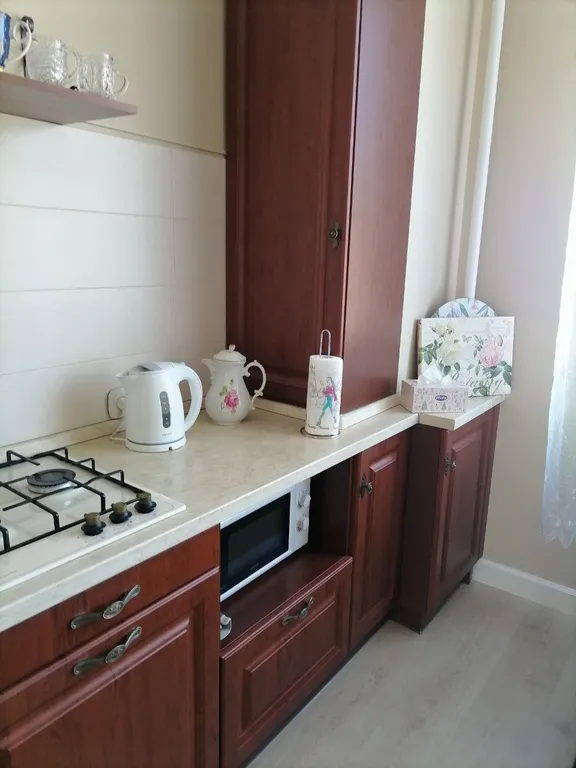 Квартира Видовая квартира — Светлогорск