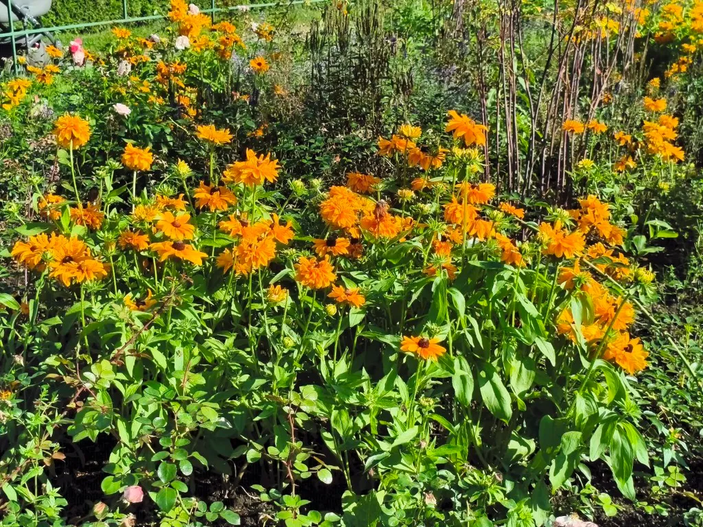 Двухкомнатная квартира с историей в центре Екатеринбурга