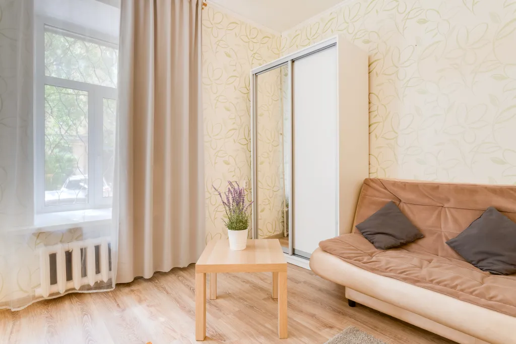 Большая однушка в центре