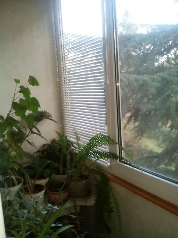 Уютная квартира в центральной части