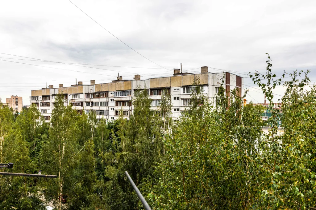 Квартира у Дороги Жизни, все блага цивилизации в шаговой доступности:)