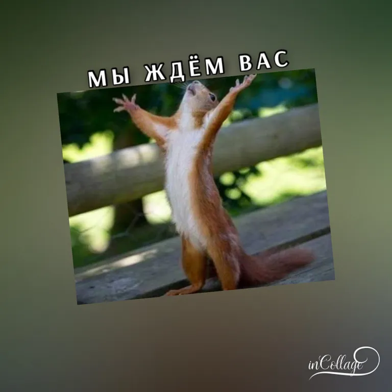 Уютное гнездышко