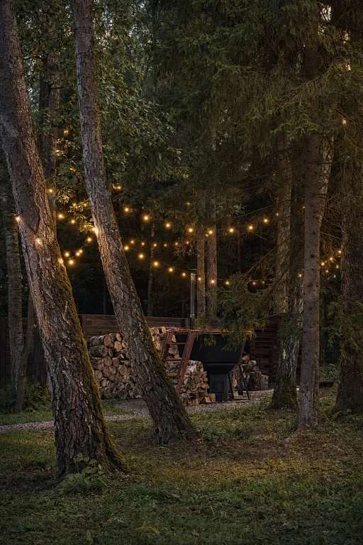 Дом около леса с чаном