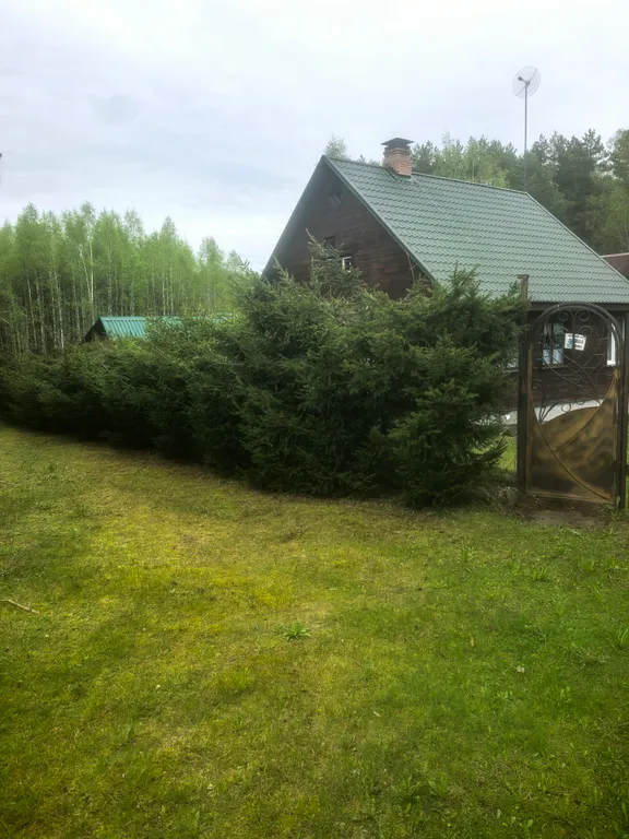 Деревянный домик в эко лесу