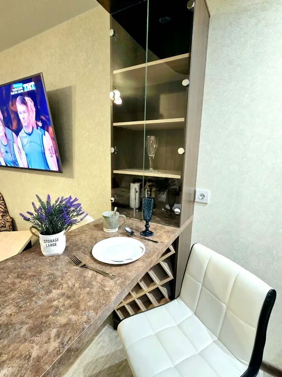 Шикарная квартира с огромным телевизором