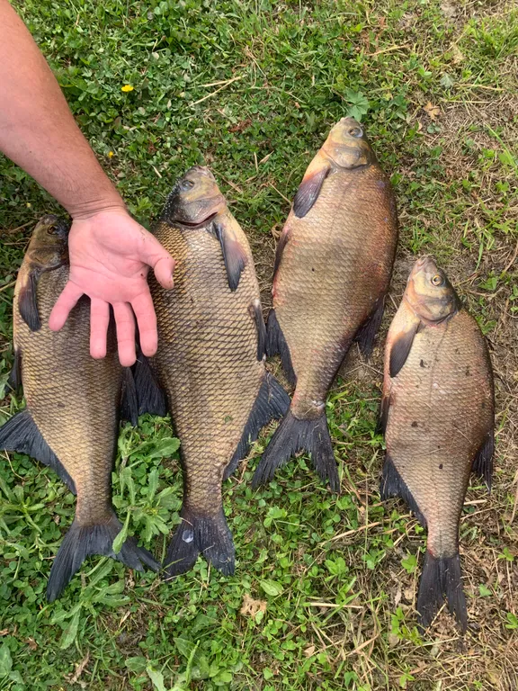 Уютный дом на берегу озера