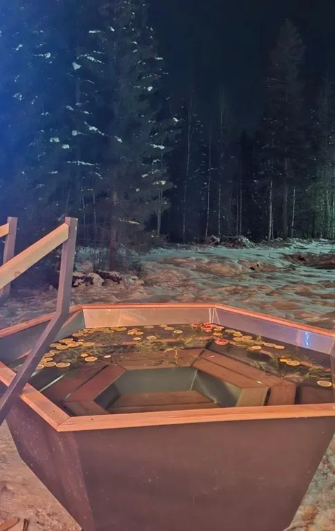 Волчье Логово, комфортный уединённый дом в лесу