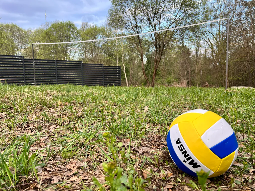 Барнхаус в окружении леса – здесь время течет иначе