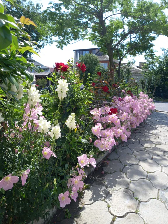 Коттедж Домик с летней кухней — Анапа