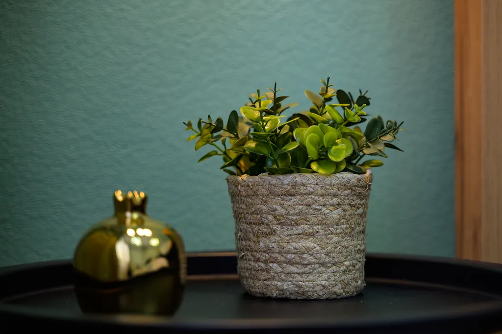 Квартира Однокомнатная квартира в новом доме — Песочный