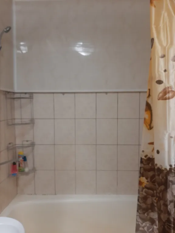 Квартира в центре города у Нижнего пруда - исторический центр