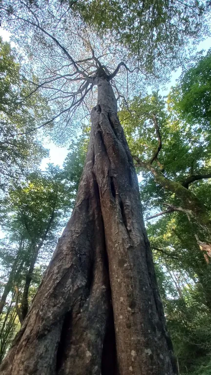 Студия Теплый песок в новом ЖК Летний