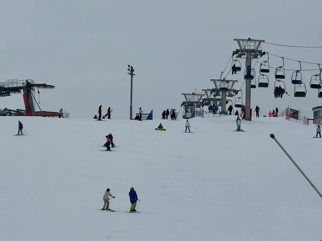 Шале в сосновом бору