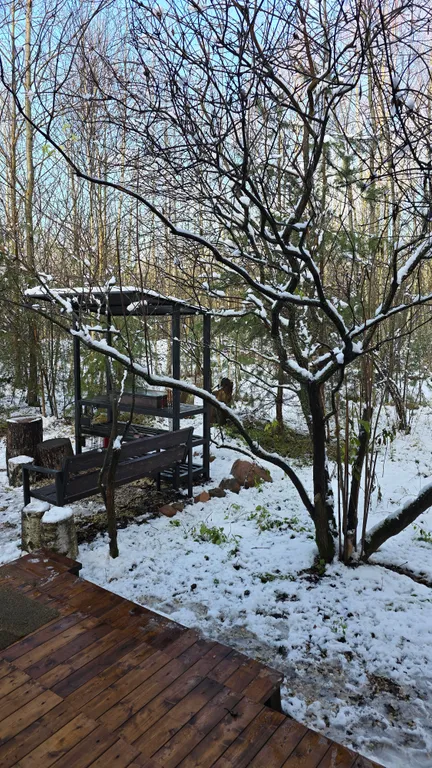 Коттедж Уютный дом в стиле барн — Дятловка