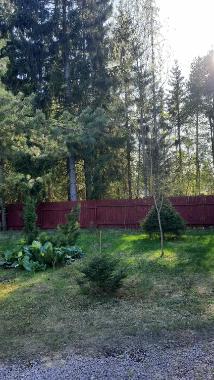 Уютный лесной домик