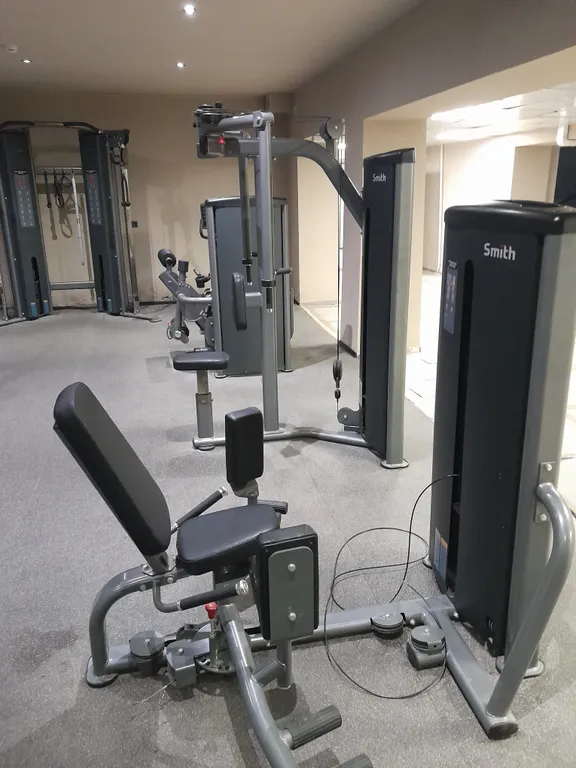 Студия в сосновом бору