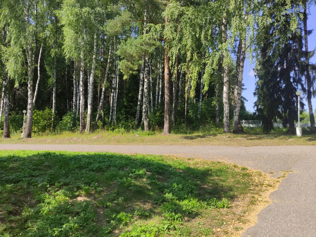 Гостевой домик за городом