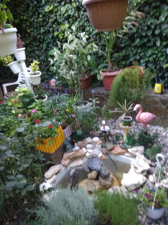 Комната в частном дворе