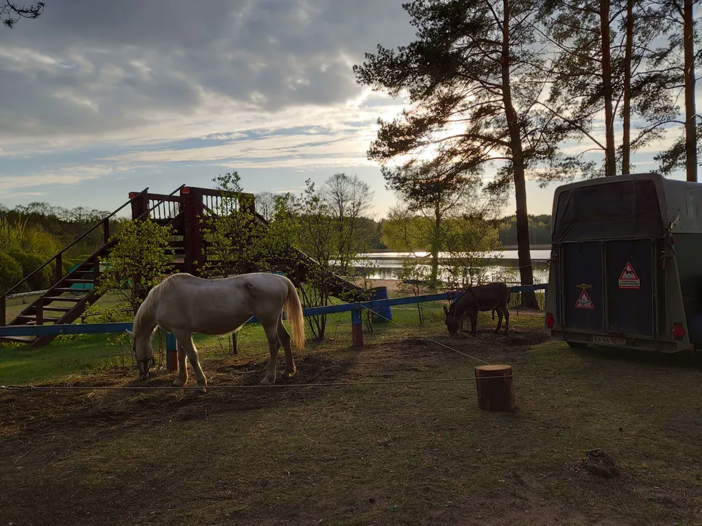 Дом в окружении леса, озёр и рек, около турбазы Алоль